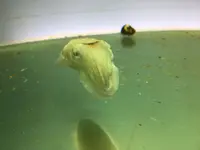 鳥羽水族館の写真・動画_image_193858