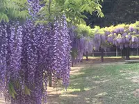 和気神社の写真・動画_image_193861