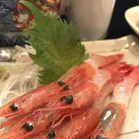 案山子の写真・動画_image_193881