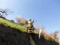 みつばち博物館の写真・動画_image_193970