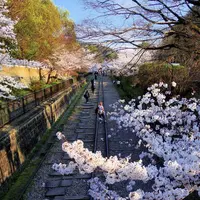 蹴上インクラインの写真・動画_image_194179