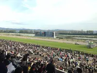 京都競馬場の写真・動画_image_19424
