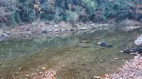 嵐山渓谷の写真・動画_image_194279