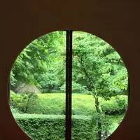 明月院（あじさい寺）の写真・動画_image_194293