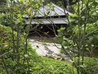 浄妙寺の写真・動画_image_194303