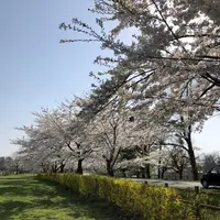 小岩井農場の写真・動画_image_194329