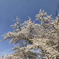 小岩井農場の写真・動画_image_194330