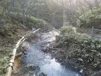 登別地獄谷の写真・動画_image_194455