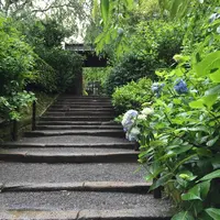 明月院（あじさい寺）の写真・動画_image_194547