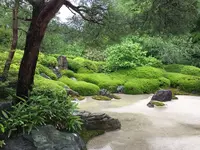 明月院（あじさい寺）の写真・動画_image_194548