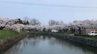 五稜郭公園の写真・動画_image_194550