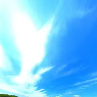 平尾台自然観察センターの写真・動画_image_194556