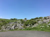 平尾台自然観察センターの写真・動画_image_194557