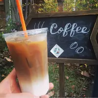 キルシュの写真・動画_image_194579