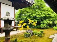 源光庵の写真・動画_image_194675