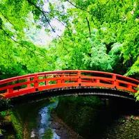 北野天満宮の写真・動画_image_194679