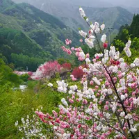 月川の写真・動画_image_194744