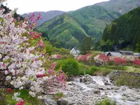 月川の写真・動画_image_194745