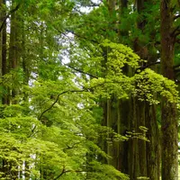光前寺の写真・動画_image_194771