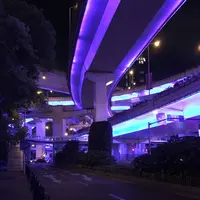 上海の写真・動画_image_194806