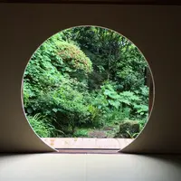 点心庵の写真・動画_image_194834