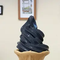 室戸世界ジオパークセンターの写真・動画_image_195097