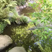 東京都庭園美術館の写真・動画_image_195167