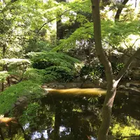 東京都庭園美術館の写真・動画_image_195168