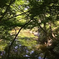 東京都庭園美術館の写真・動画_image_195169