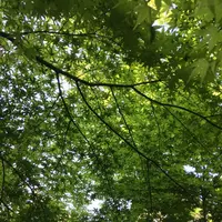 東京都庭園美術館の写真・動画_image_195170