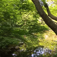 東京都庭園美術館の写真・動画_image_195171