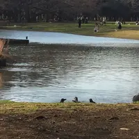 代々木公園の写真・動画_image_195180