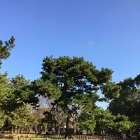 代々木公園の写真・動画_image_195181