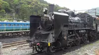大井川鐵道 千頭駅の写真・動画_image_195213