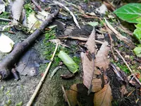 海沢公園の写真・動画_image_195576