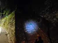 みとうさんぐち駅の写真・動画_image_195588