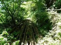 奥多摩「むかし道」の写真・動画_image_195606