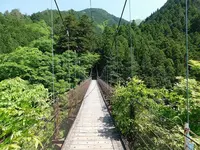 奥多摩「むかし道」の写真・動画_image_195609
