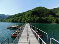 麦山浮橋の写真・動画_image_195612