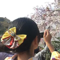 和装小袖の写真・動画_image_195643