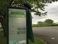 イギリス海岸の写真・動画_image_195682