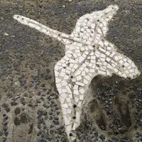 イギリス海岸の写真・動画_image_195684
