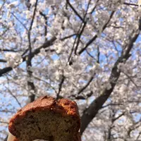 Pacific BAKERYの写真・動画_image_195697