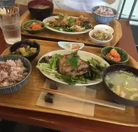 コバカバの写真・動画_image_195705