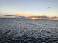 Star of Honoluluの写真・動画_image_195726