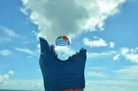 Hawaiian Parasailの写真・動画_image_195731