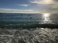 ワイキキの写真・動画_image_195737