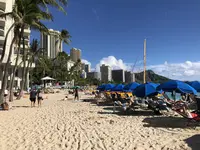 ワイキキの写真・動画_image_195738
