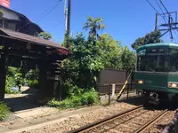 無心庵の写真・動画_image_195744