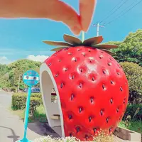 フルーツバス停の写真・動画_image_195748